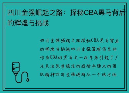 四川金强崛起之路：探秘CBA黑马背后的辉煌与挑战
